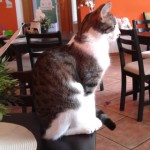 Martina C.